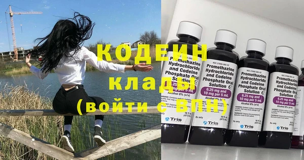 твердый Инсар