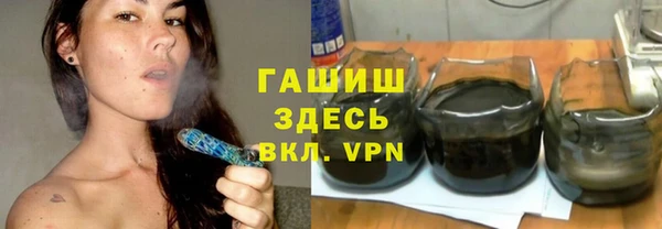 твердый Инсар
