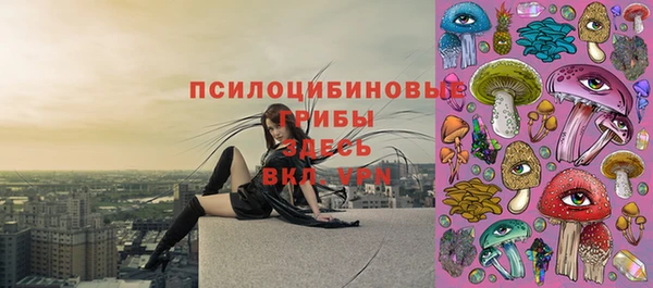 мяу мяу кристалл Инта