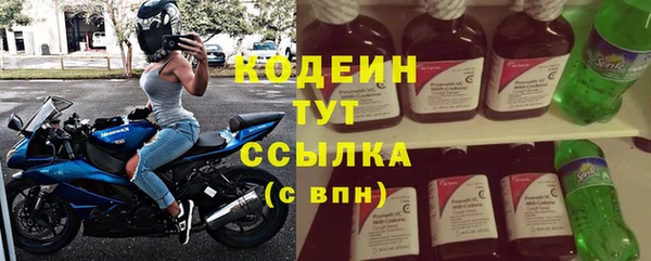 твердый Инсар